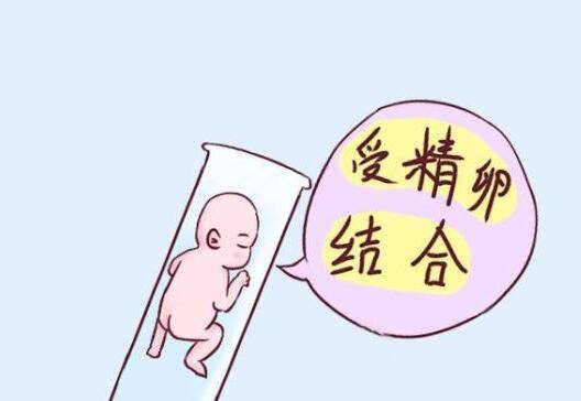 借卵做试管婴儿移植10天后出血是怎么回事