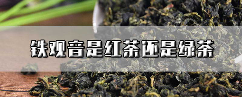 铁观音是绿茶吗