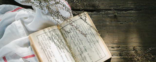 与同袍并肩作战，在热血江湖SF服务器中创建不朽的公会