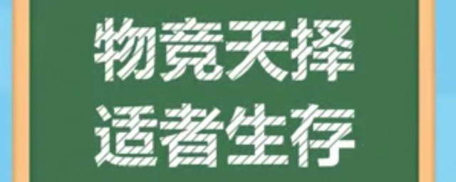 细腻的物竞天择是什么意思的图片