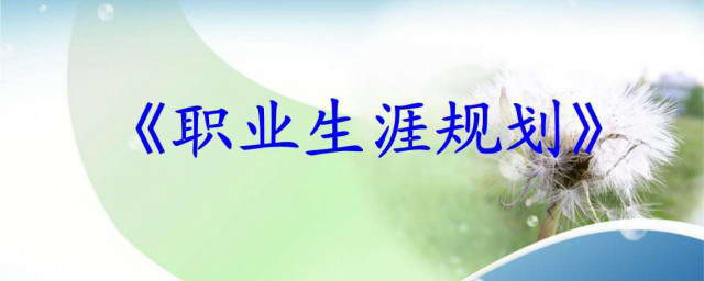 专业选购指南是什么