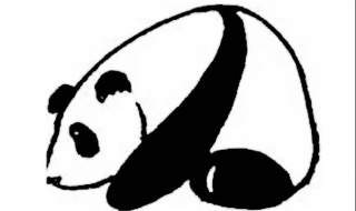 大熊猫的简笔画怎么画？拿起笔一起试试吧