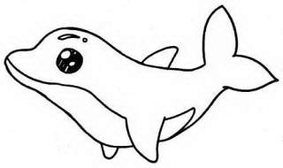 画海豚的简笔画 简单几笔画出可爱的海豚